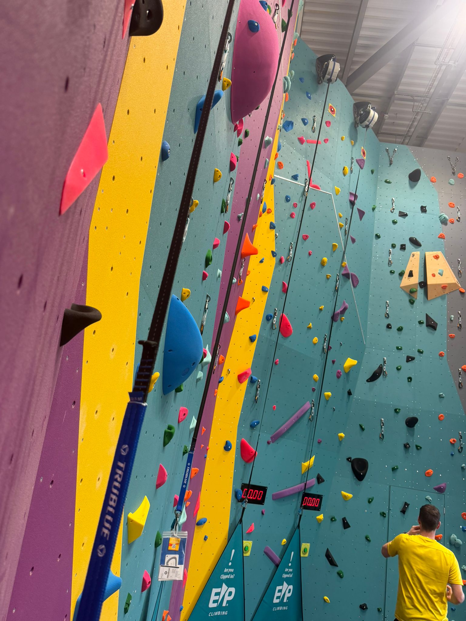 Climbing wall at XYZ Gym