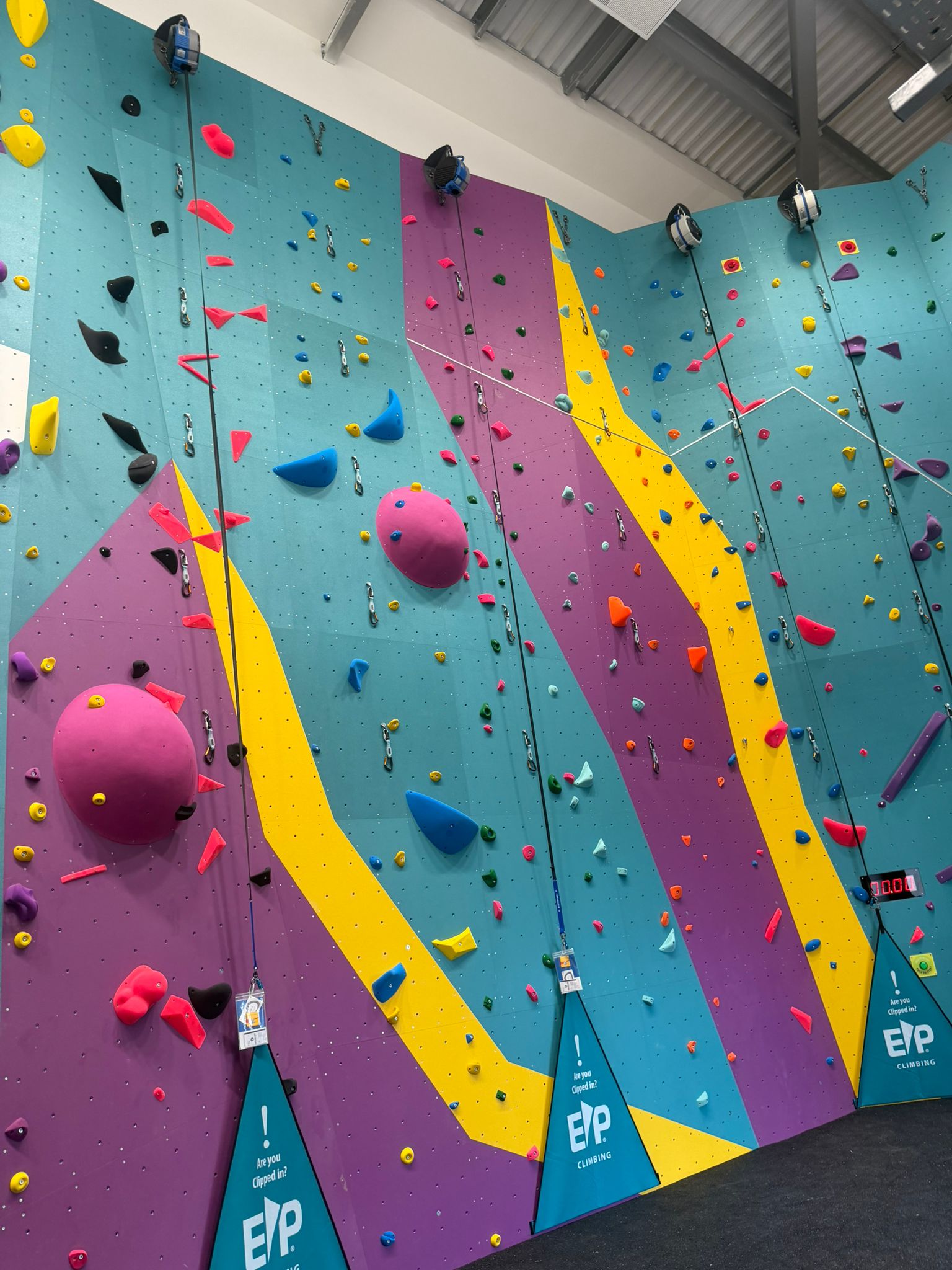 Climbing wall at XYZ Gym